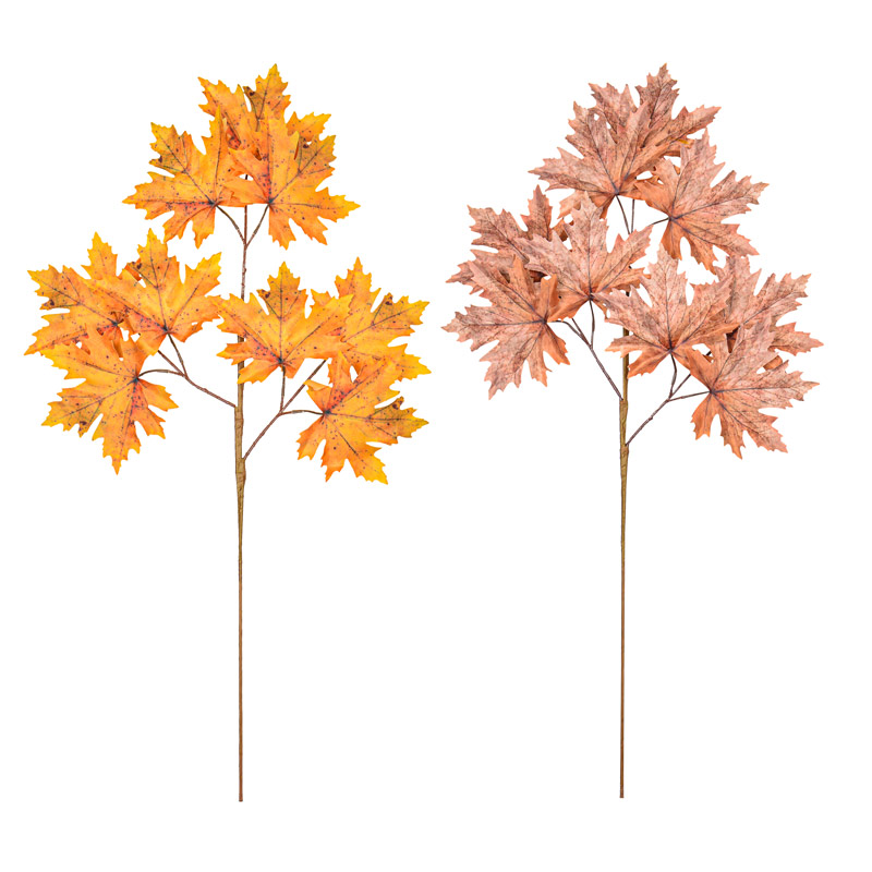 Branche feuilles d'érable 'Coeur d'Automne'