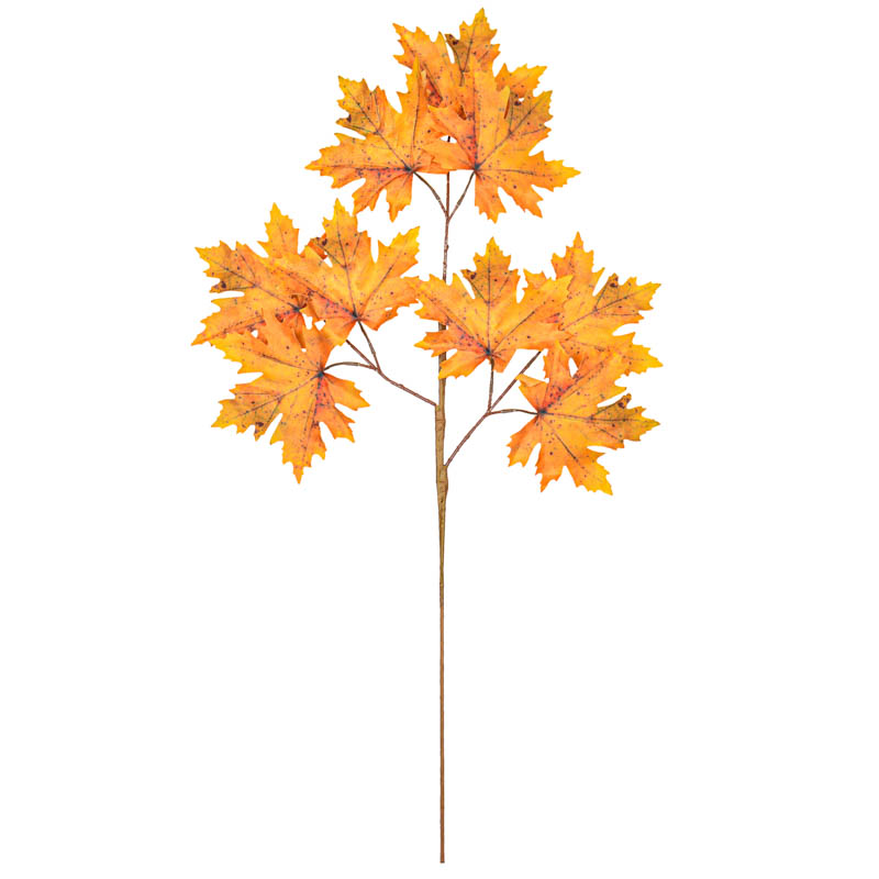 Branche feuilles d'érable 'Coeur d'Automne'
