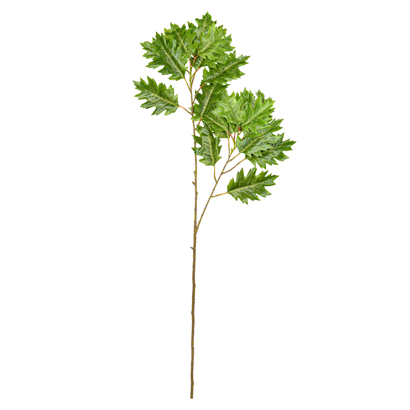 Branche feuilles de chêne 'Coeur d'Automne'
