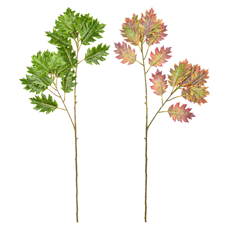Branche feuilles de chêne 'Coeur d'Automne'