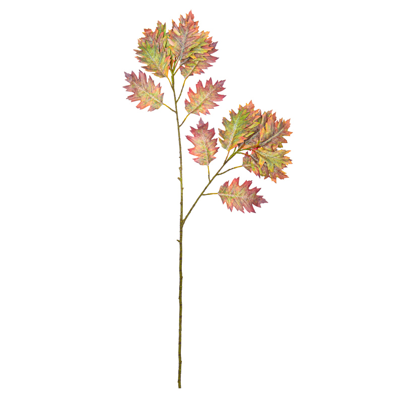 Branche feuilles de chêne 'Coeur d'Automne'