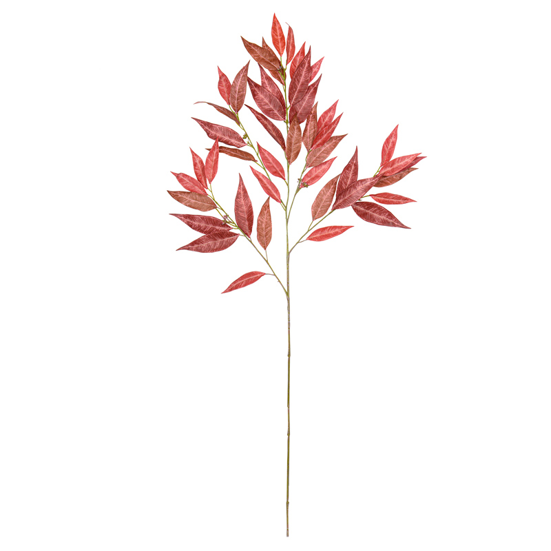 Tige d'eucalyptus 'Coeur d'Automne'