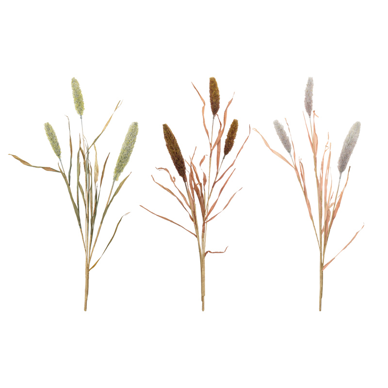 Branche de lagurus 'Coeur d'Automne'