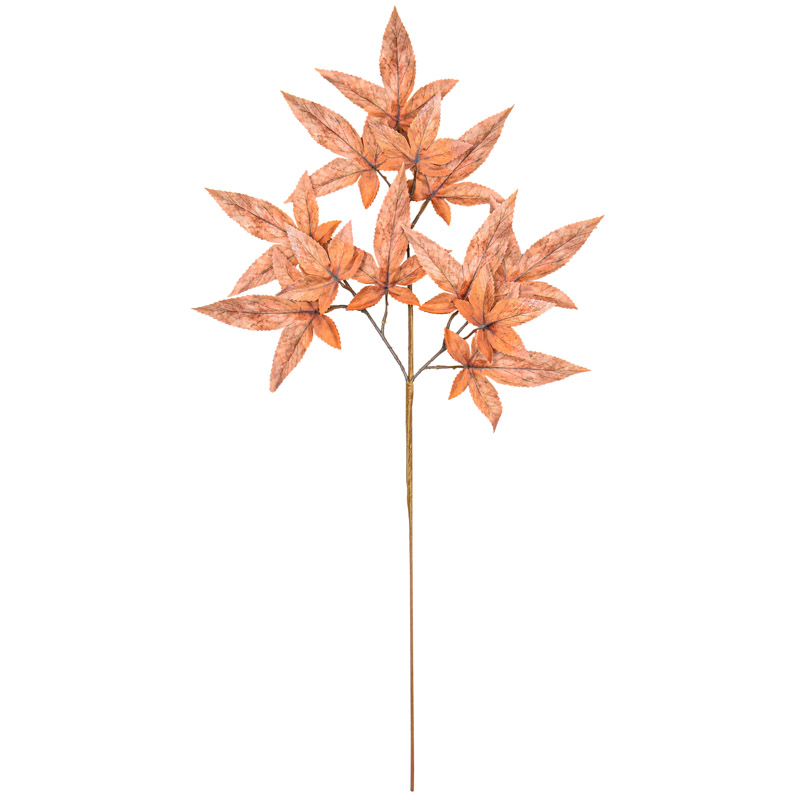 Branche feuilles d'érable 'Coeur d'Automne'