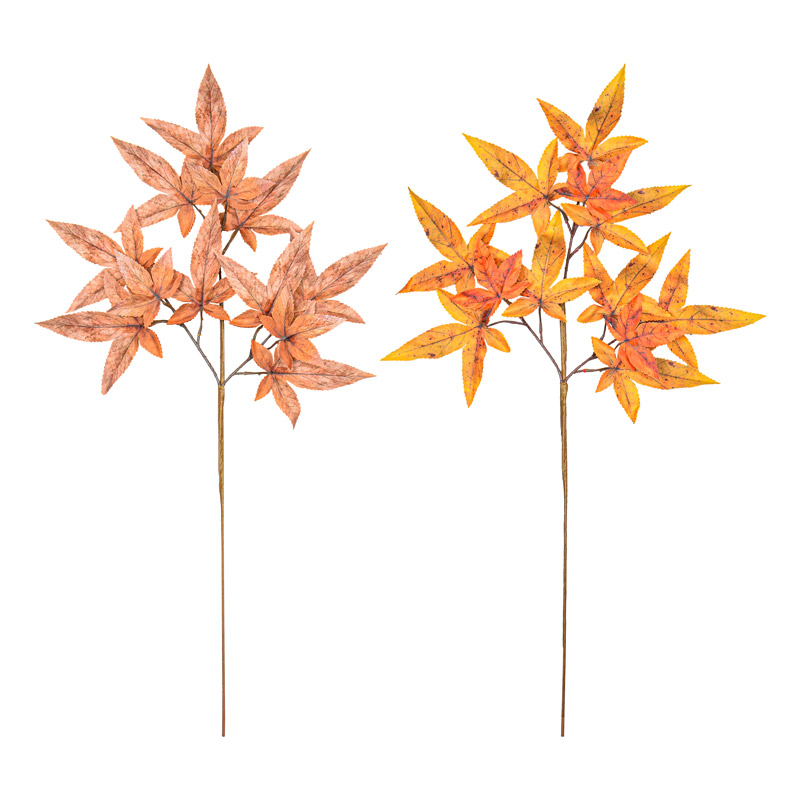 Branche feuilles d'érable 'Coeur d'Automne'