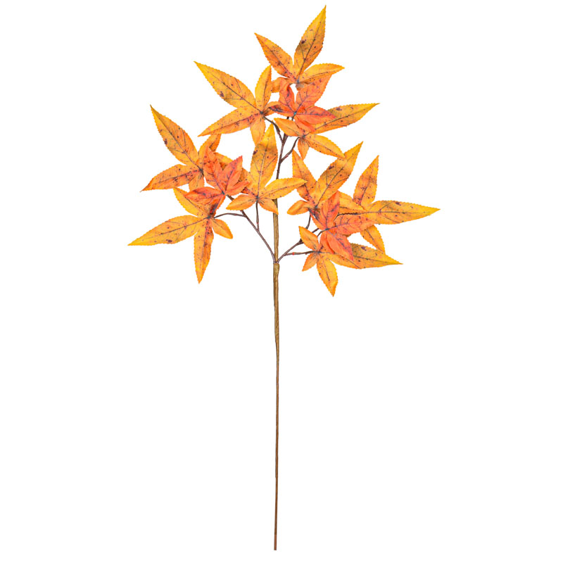 Branche feuilles d'érable 'Coeur d'Automne'