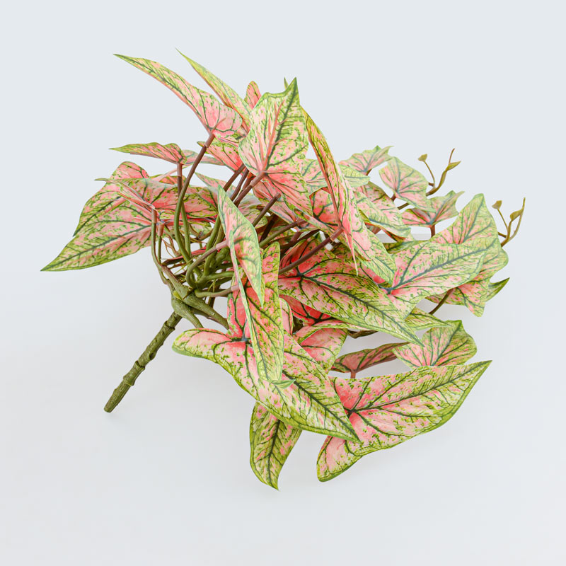Branche de syngonium jaune 