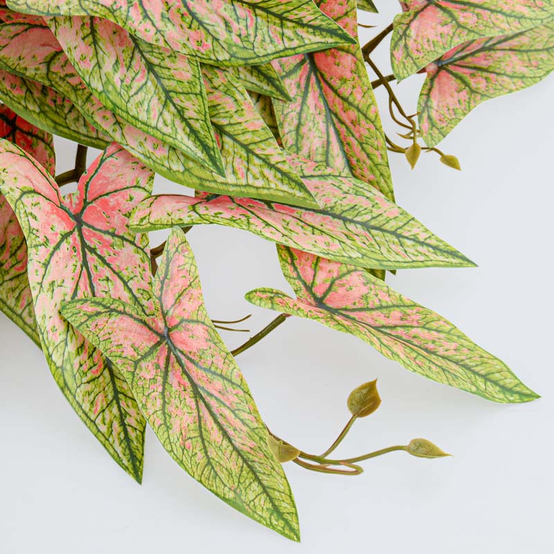 Branche de syngonium jaune 