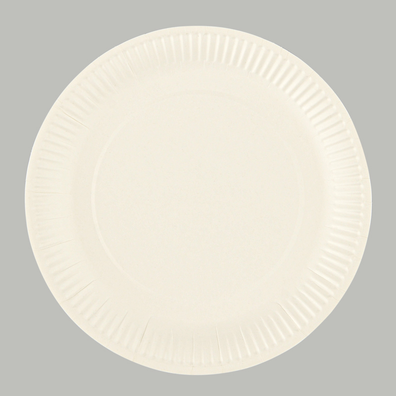 Lot de 100 assiettes en carton blanc