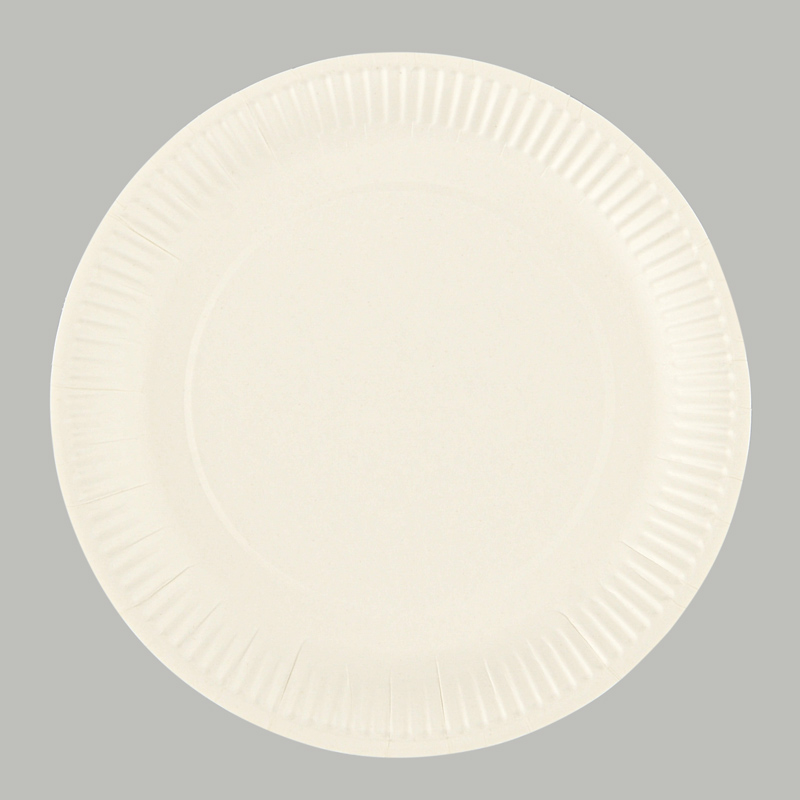 Lot de 100 assiettes - plastique - blanc