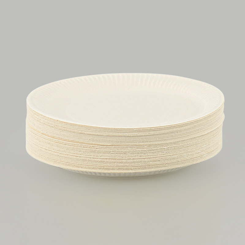 Lot de 100 assiettes en carton blanc