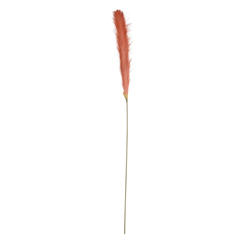 Tige de plumeau de roseau 'Pumila'
