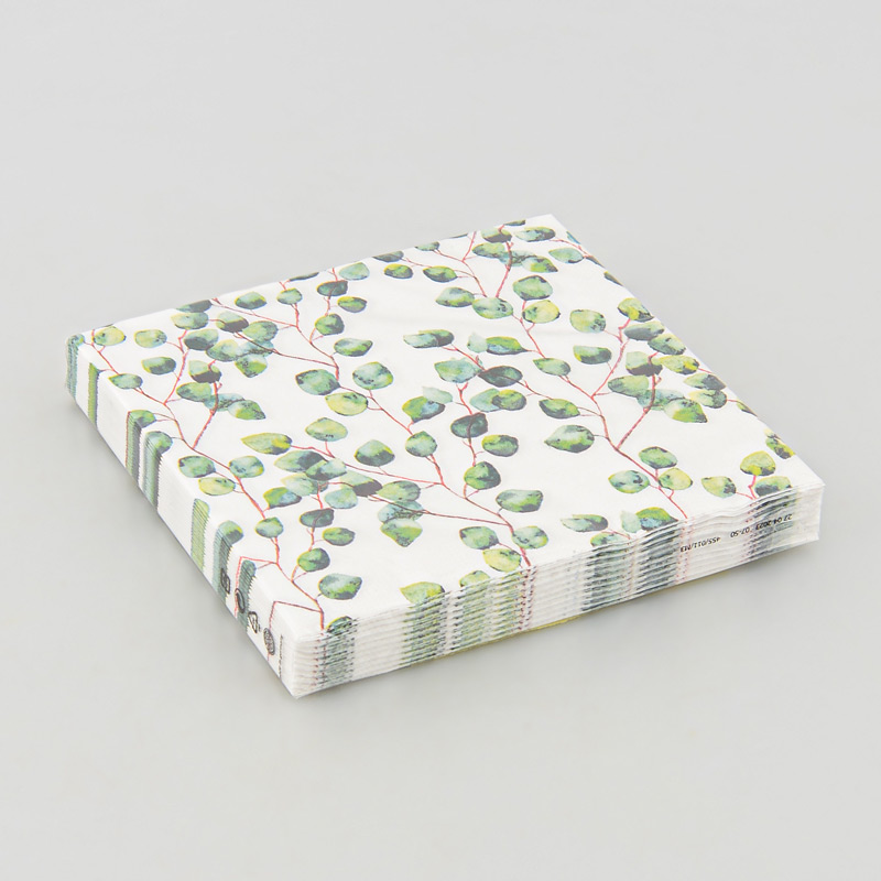Lot de 20 serviettes 'Aquarell Leaves'