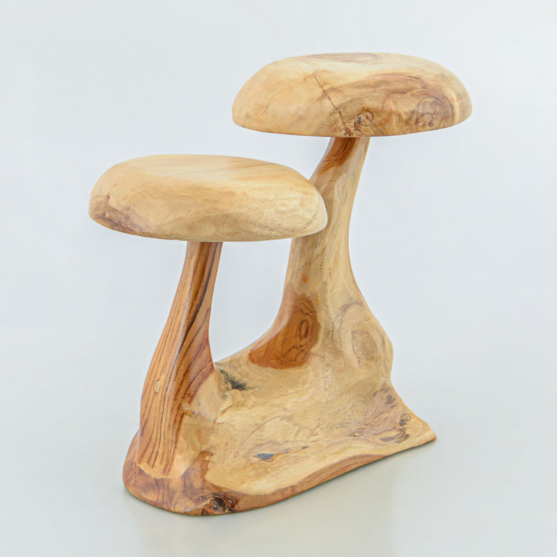 Champignon 'Cœur d'automne'