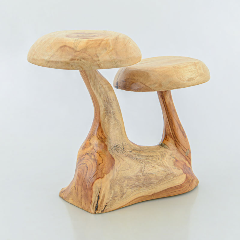 Champignon 'Cœur d'automne'