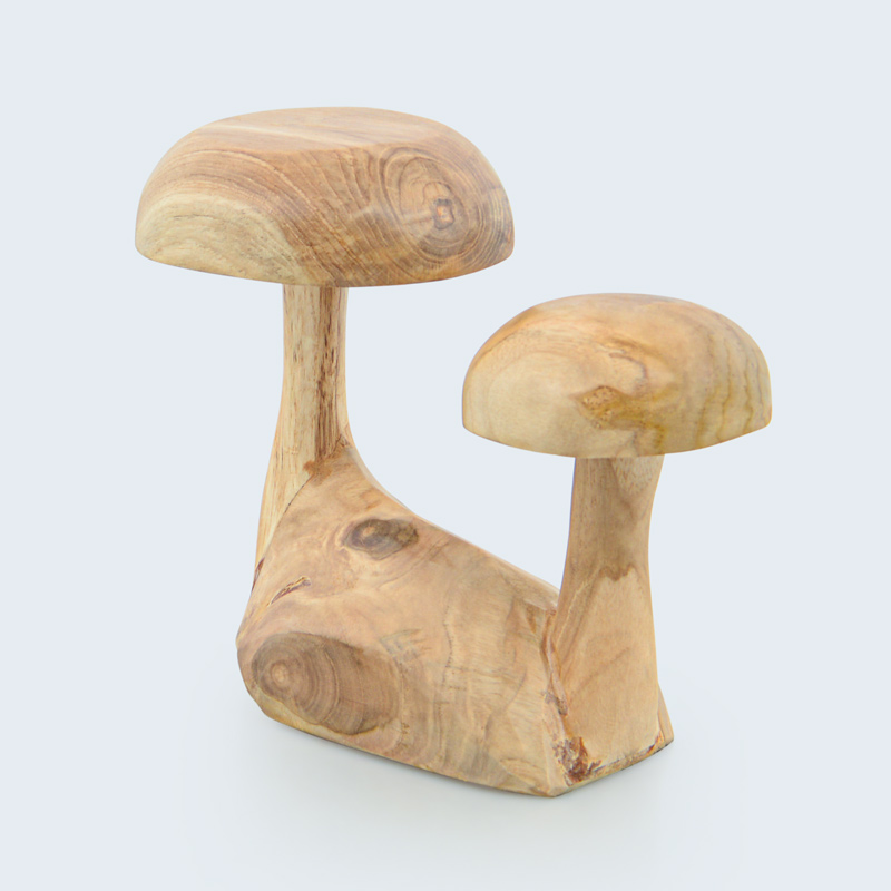 Champignon 'Cœur d'automne'