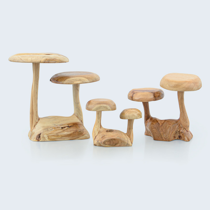 Champignon 'Cœur d'automne'