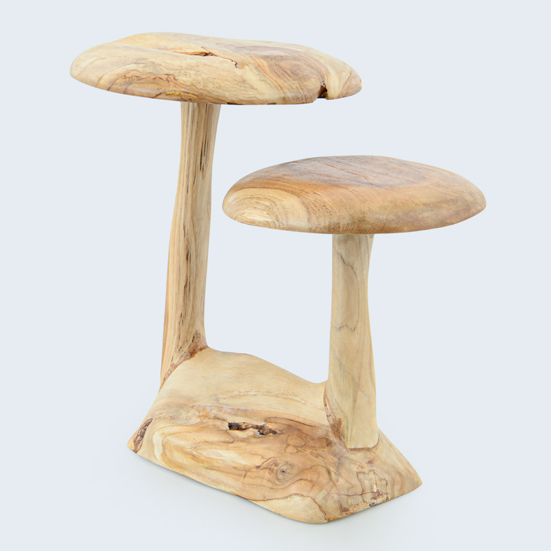 Champignon 'Cœur d'automne'