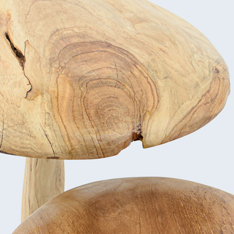 Champignon 'Cœur d'automne'