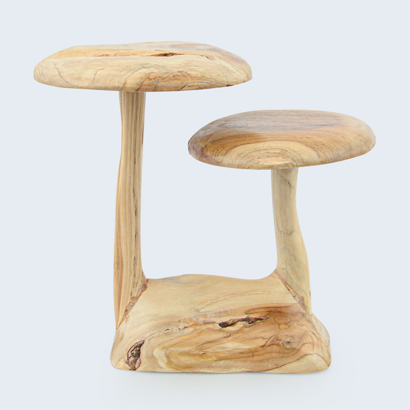 Champignon 'Cœur d'automne'
