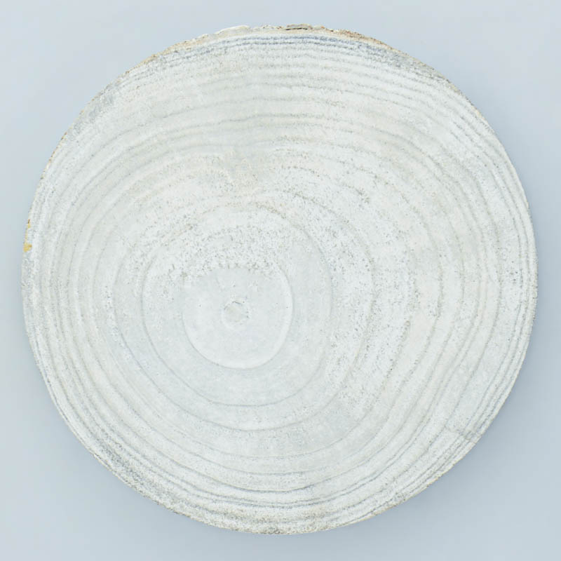 Plateau paulownia