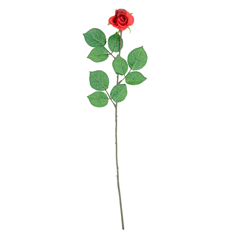 Tige bouton de rose 'Essential'