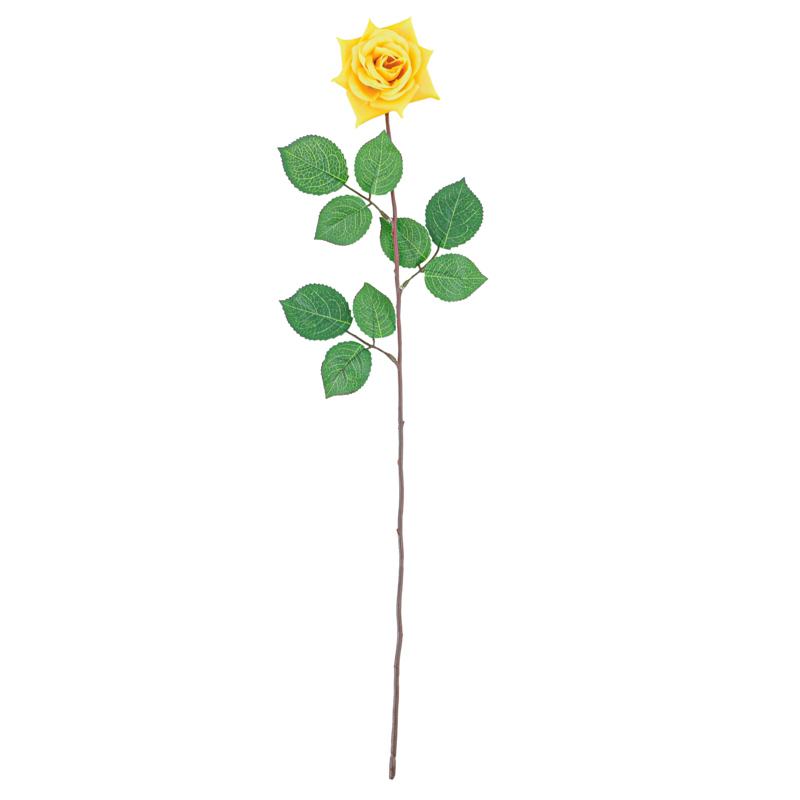 Tige bouton de rose 'Essential'