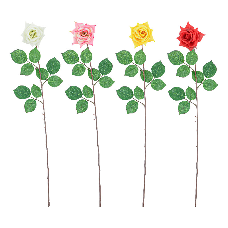 Tige bouton de rose 'Essential'