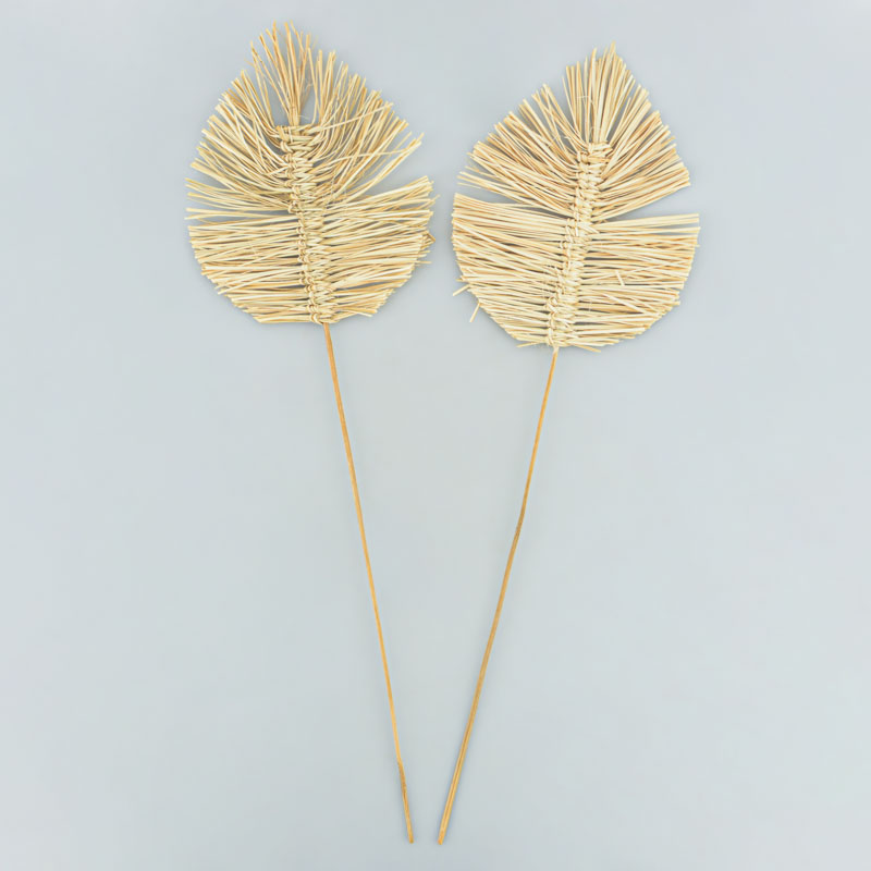 Lot de 2 palmes bambou 