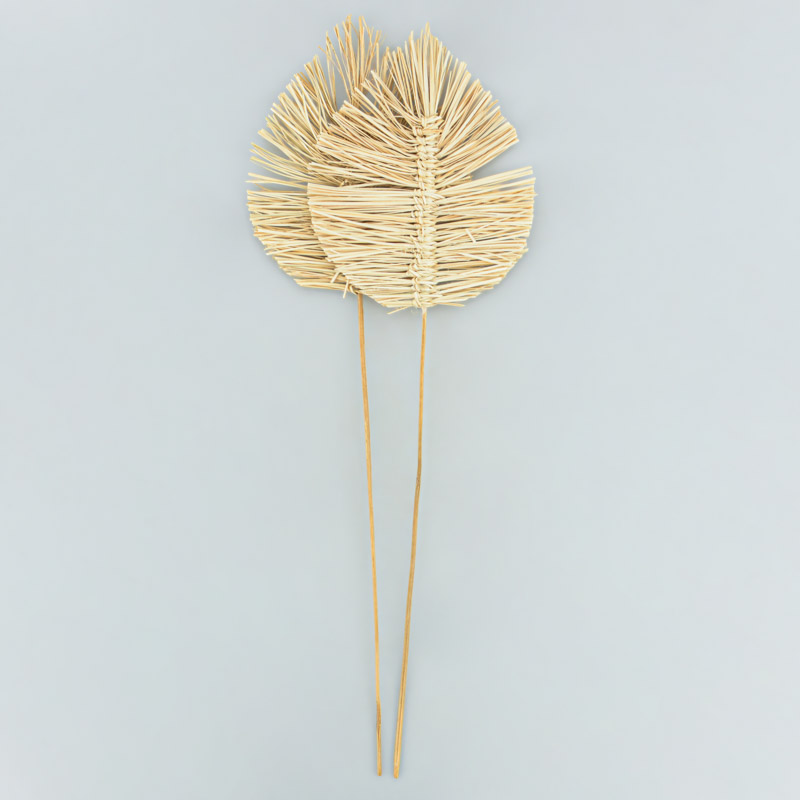 Lot de 2 palmes bambou 