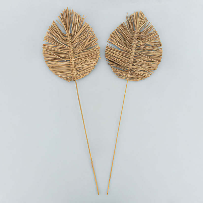 Lot de 2 palmes bambou 