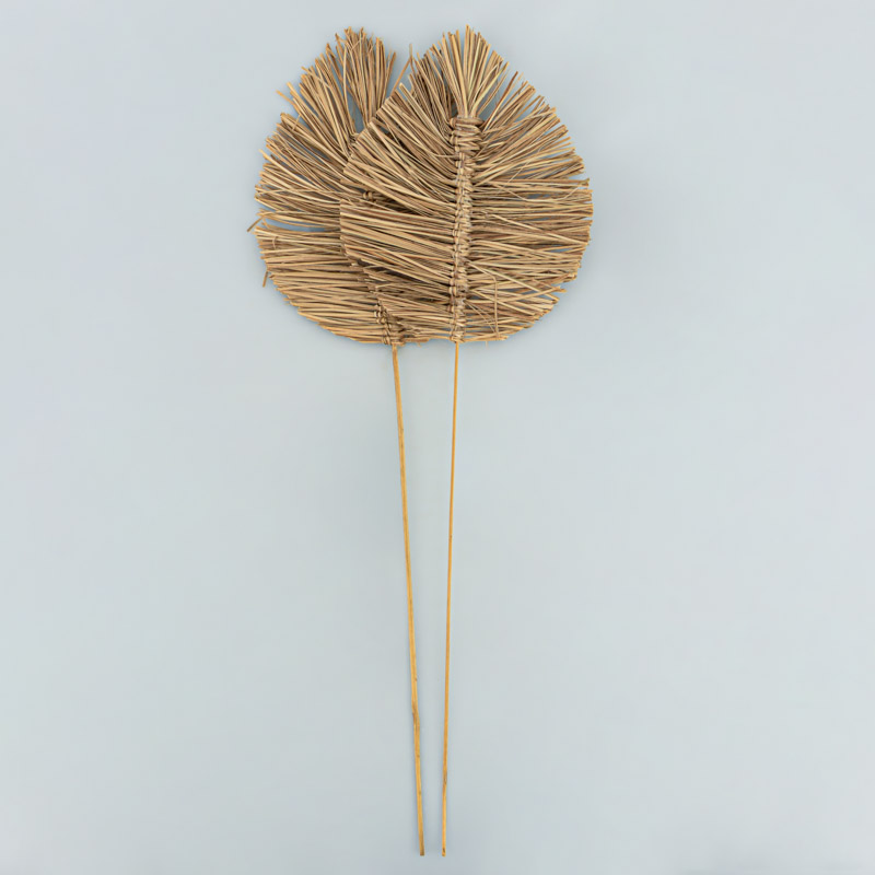 Lot de 2 palmes bambou 