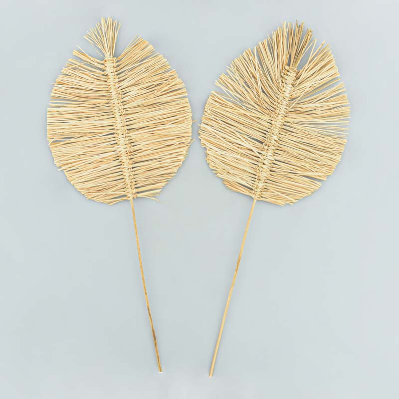 Lot de 2 palmes bambou 