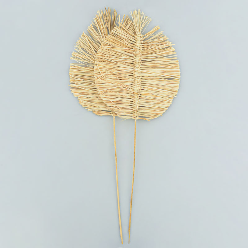 Lot de 2 palmes bambou 