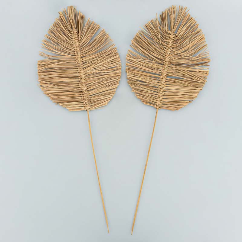 Lot de 2 palmes bambou 
