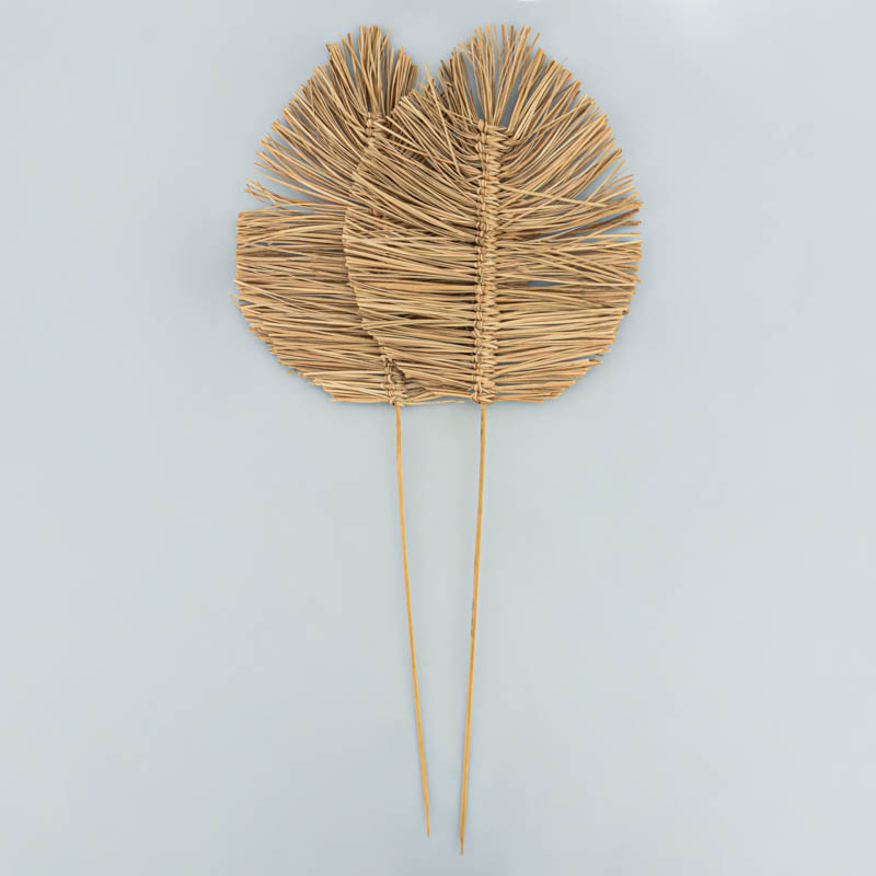 Lot de 2 palmes bambou 