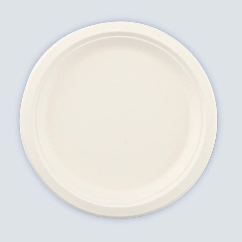 Lot de 8 assiettes rondes en canne à sucre