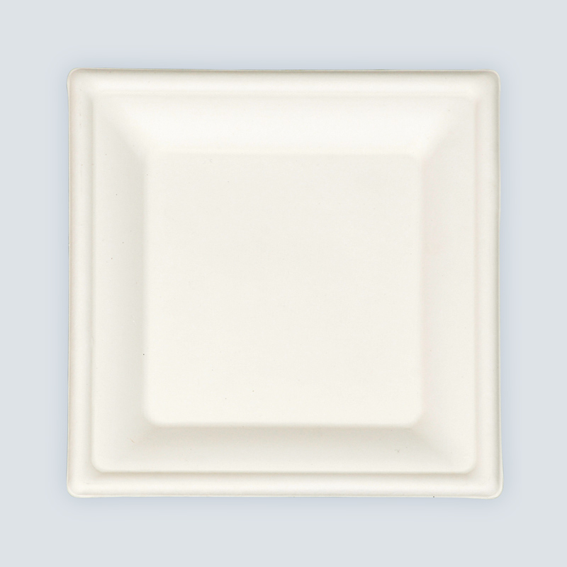Lot de 8 assiettes carrées en canne à sucre