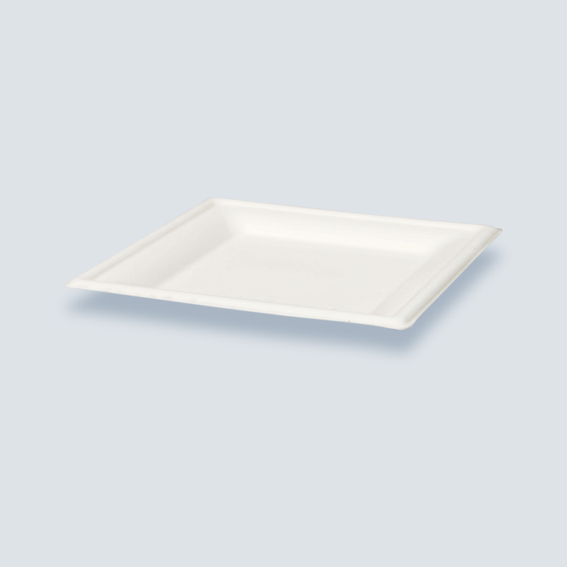 Lot de 8 assiettes carrées en canne à sucre