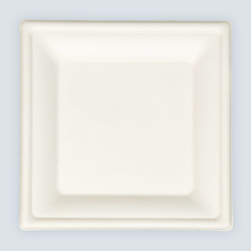Lot de 8 assiettes carrées en canne à sucre