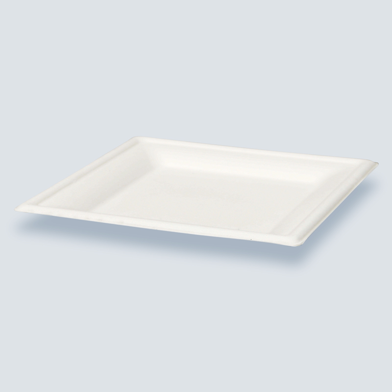 Lot de 8 assiettes carrées en canne à sucre