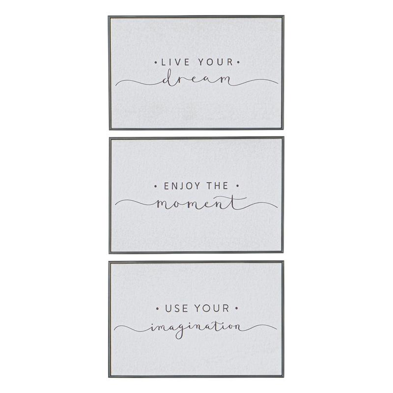 Toile imprimée encadrée 'Carpe Diem'