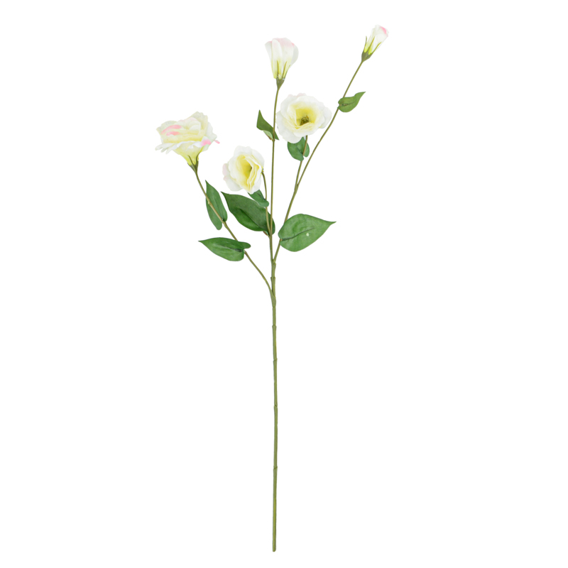 Tige de lisianthus