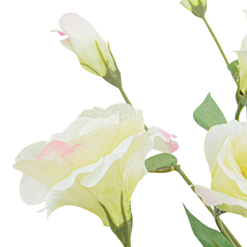 Tige de lisianthus