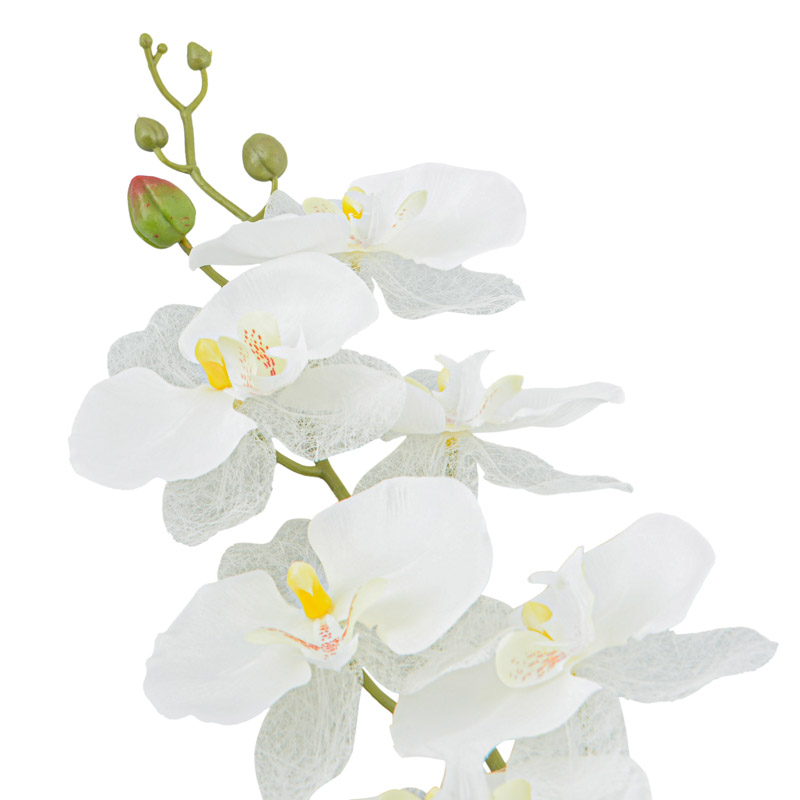 Branche d'orchidée 'Phalaenopsis' blanc
