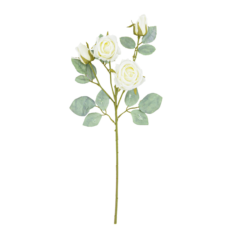Tige de rose 'Vendela'