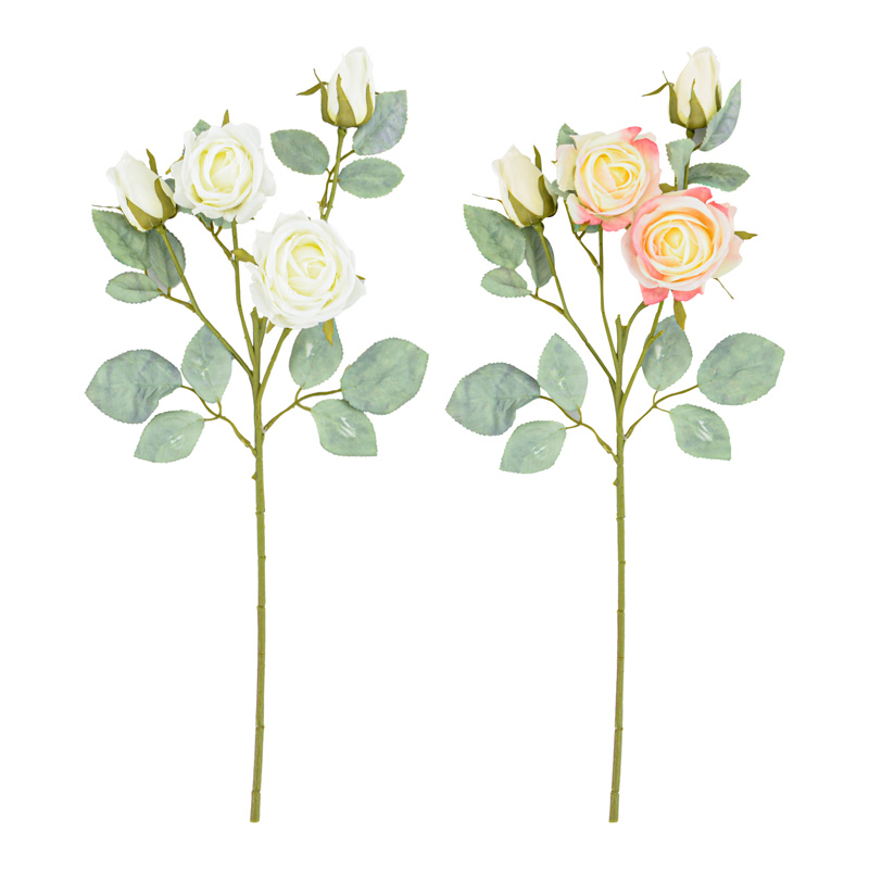 Tige de rose 'Vendela'