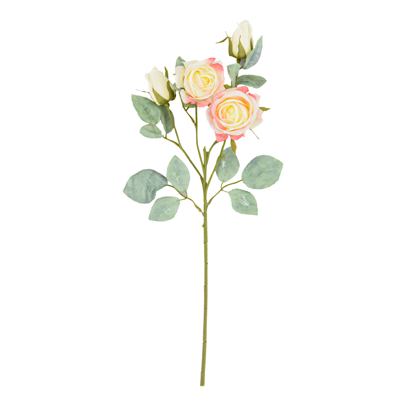 Tige de rose 'Vendela'