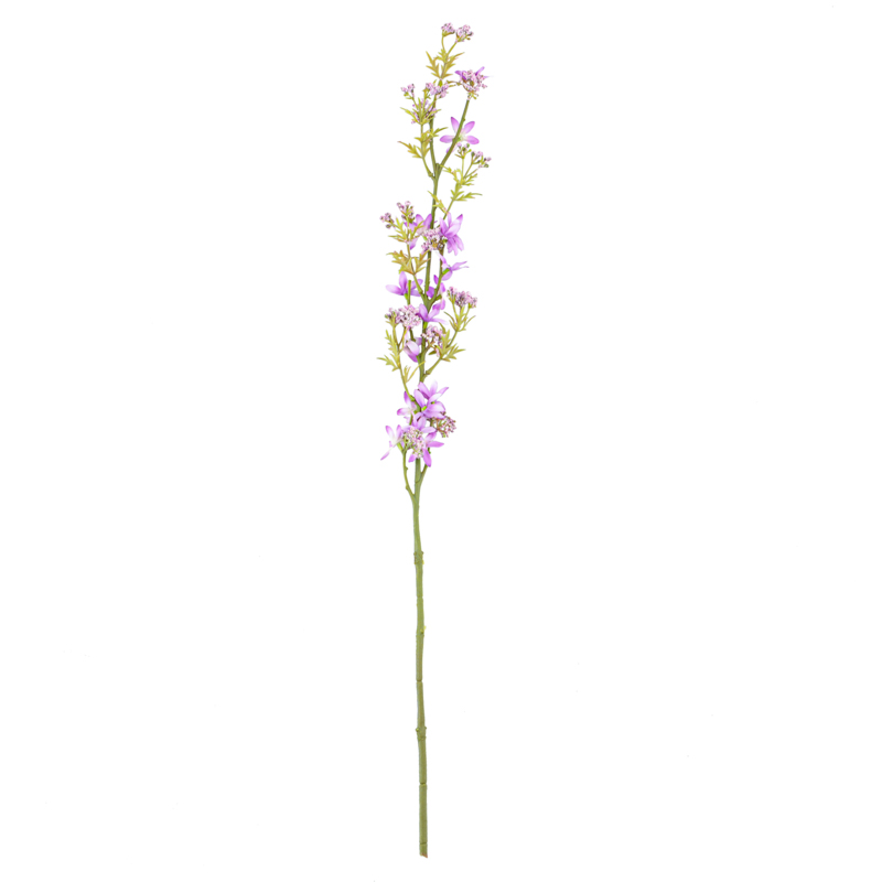Branche de bidens cernua
