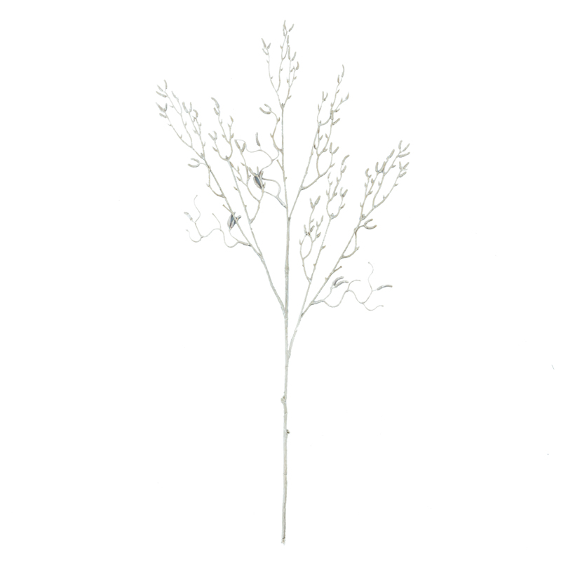 Branche de twigay 'Tendresse'